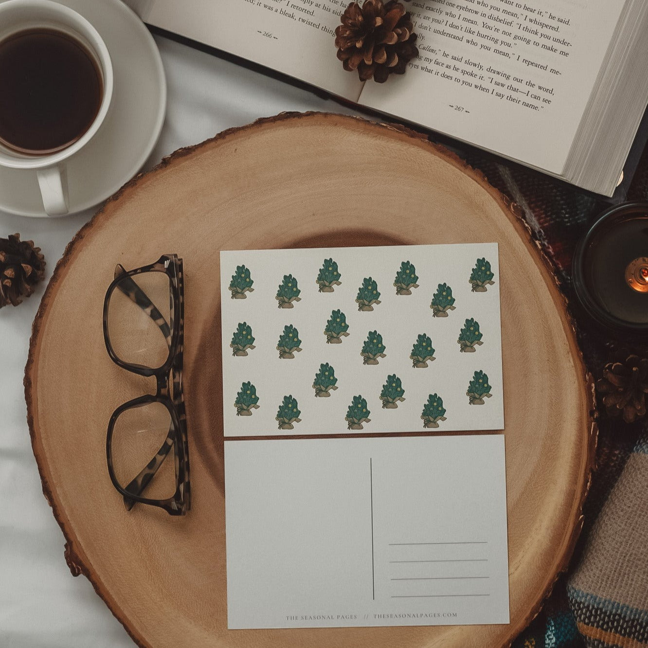 Holiday Postcard