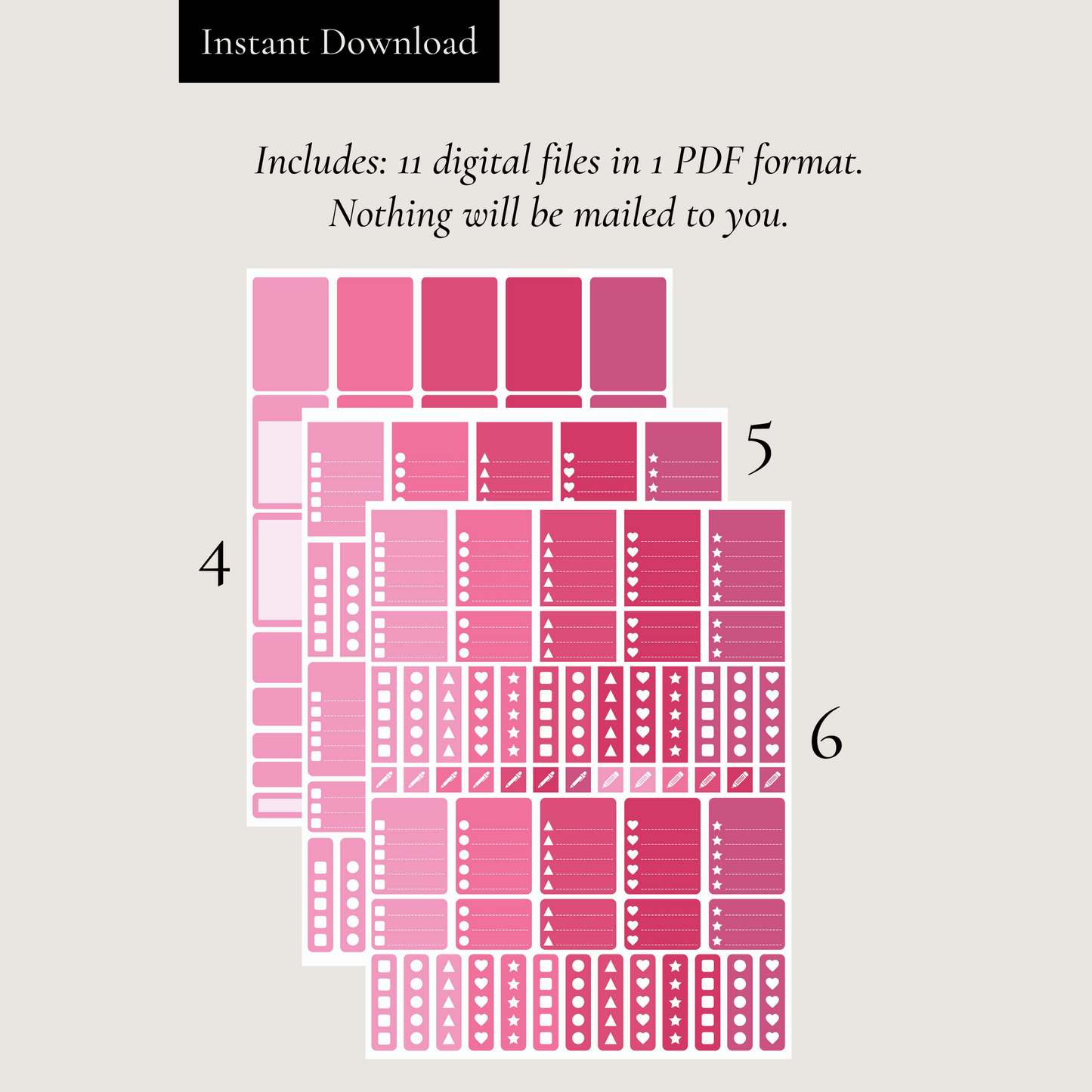 Printable Raspberry Planner Sticker Set