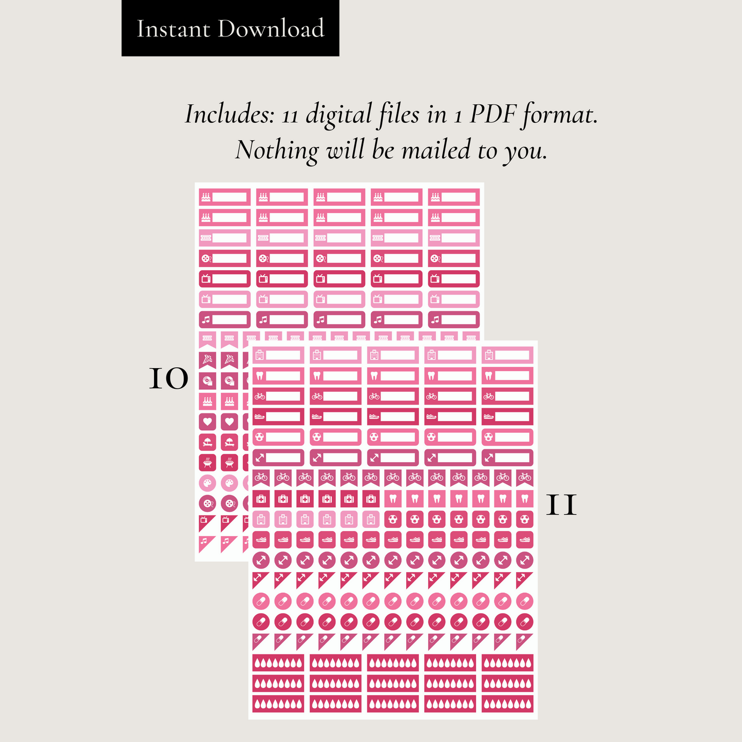 Printable Raspberry Planner Sticker Set