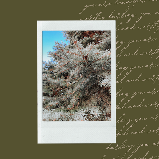 Winter Thoughts Polaroid