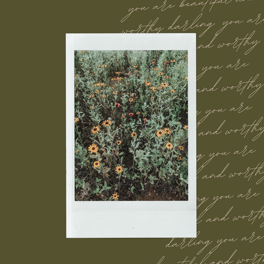 Summer Thoughts Polaroid