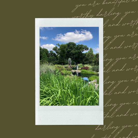 Traveling Through Summer Polaroid