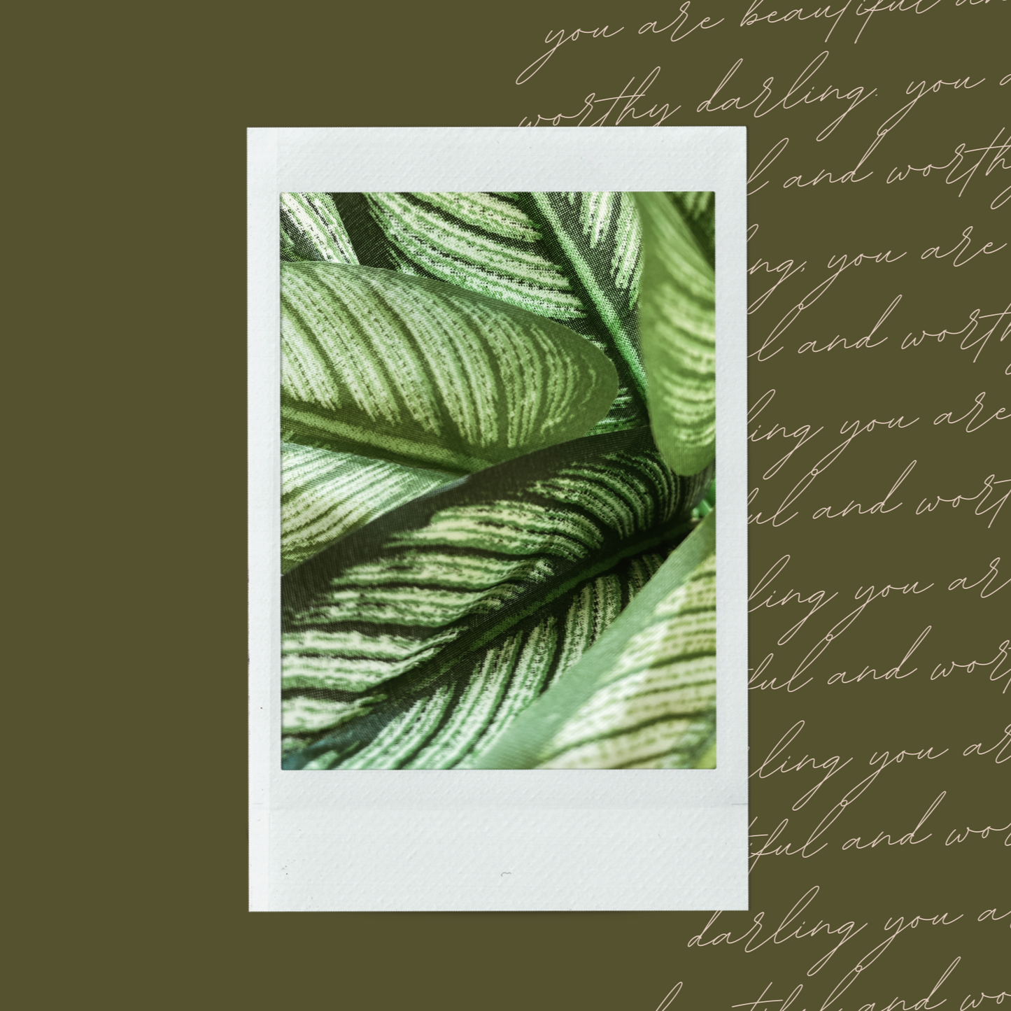 Summer Plants Polaroid
