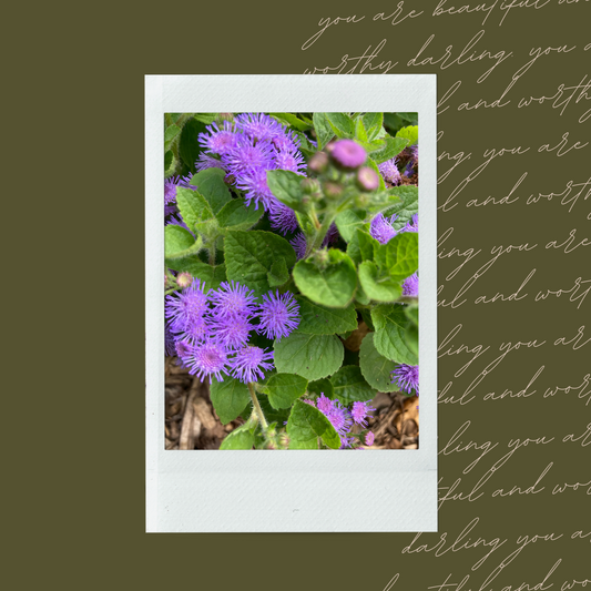 Happy Purple Floral Polaroid