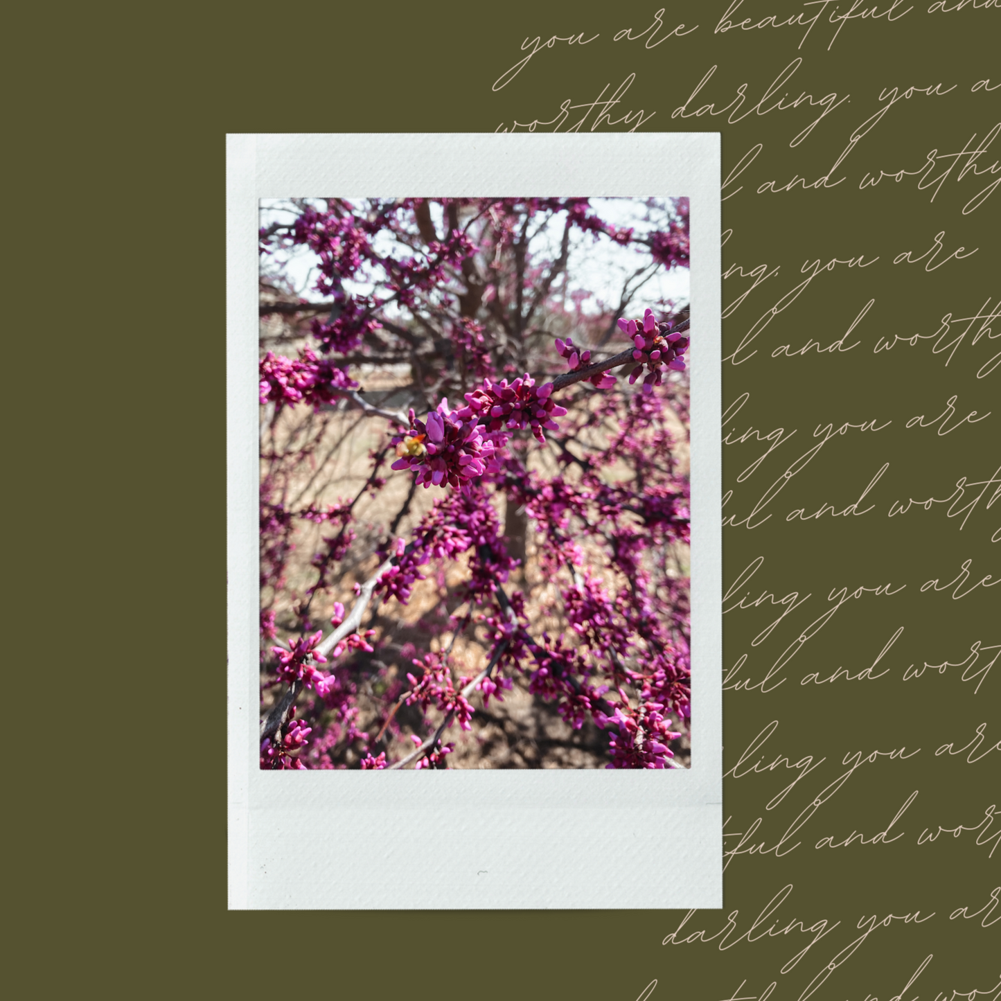 The Spring Floral Vol.1 Polaroid
