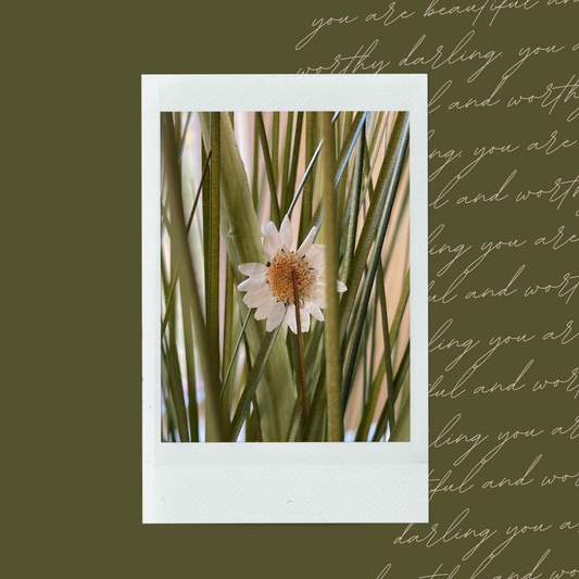 Spring 101 Polaroid
